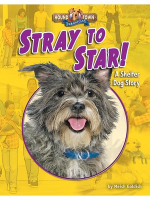 cover image of Stray to Star!